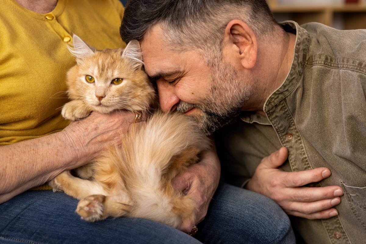 elderly-people-with-cat-pet-min.jpg